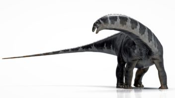 Brontosauro