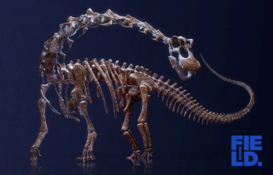 Ricostruzione scheletro Titanosauro