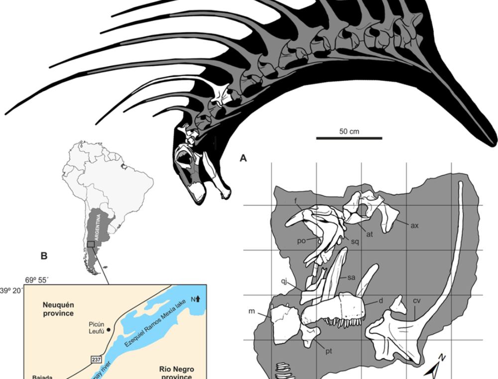 dinosauro con le spine