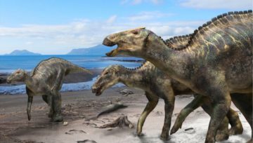Nuova specie di dinosauro scoperta in Giappone